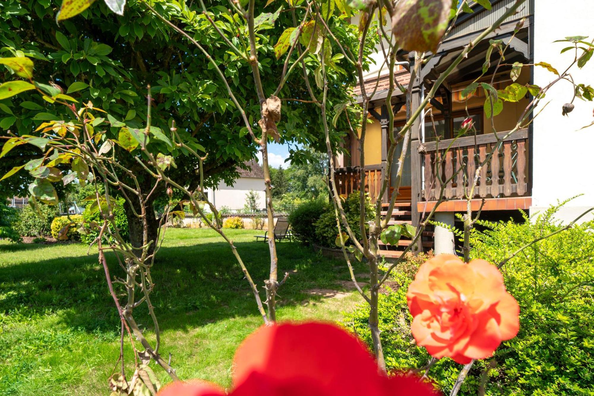 Merzmuhler La Clef Des Songes Bed & Breakfast エクステリア 写真