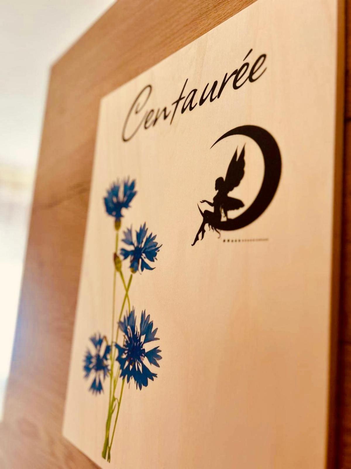 Merzmuhler La Clef Des Songes Bed & Breakfast エクステリア 写真