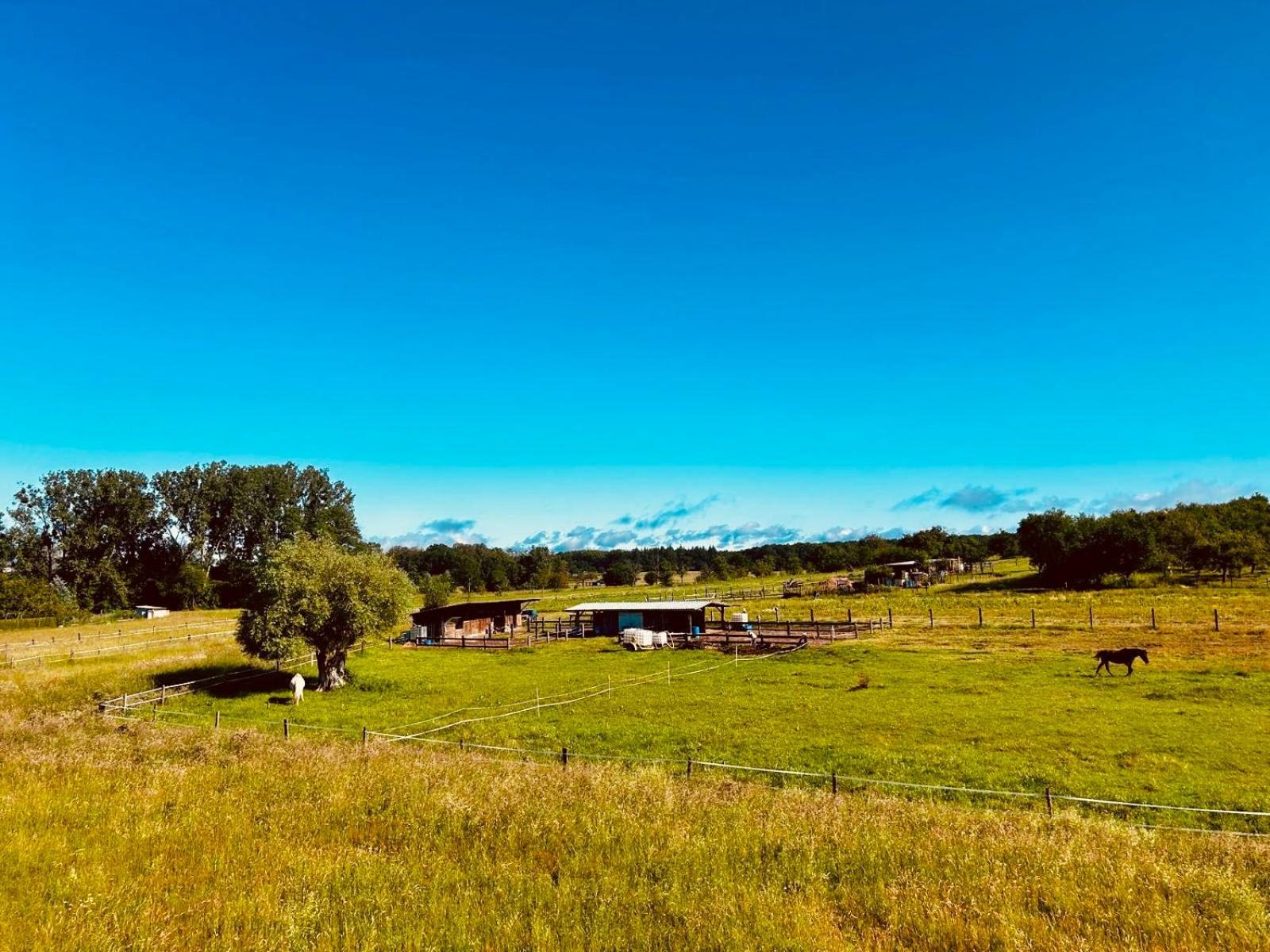 Merzmuhler La Clef Des Songes Bed & Breakfast エクステリア 写真