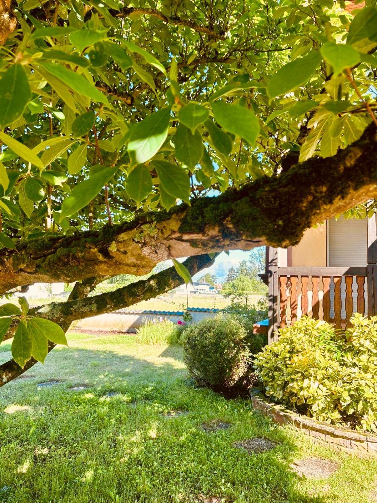 Merzmuhler La Clef Des Songes Bed & Breakfast エクステリア 写真